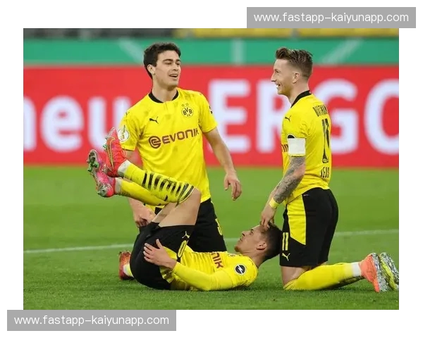 德甲巅峰对决：德国杯上的“南大王”与“大黄蜂”恩怨情仇